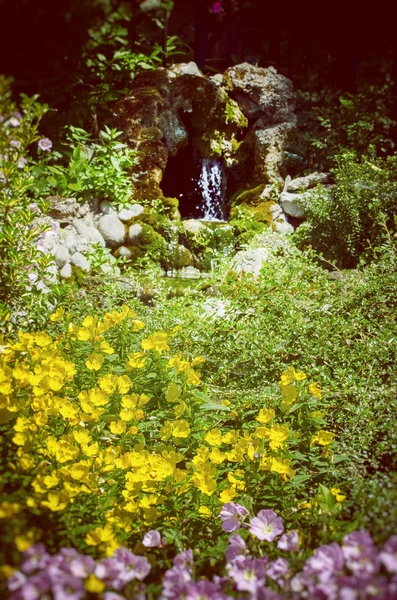 Jardim com flores — Fotografia de Stock