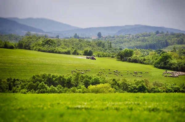 Campo de aldeia agrícola — Fotografia de Stock