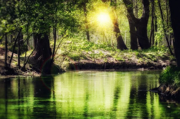 Rivière émeraude magique dans la forêt — Photo