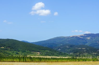 Güzel manzaralı  