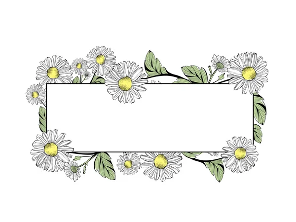 Daisy Flower Telaio con Copyspace — Vettoriale Stock