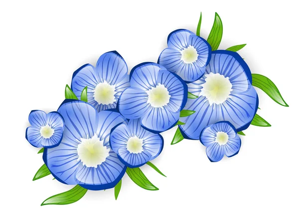 Forget-me-not Flower — Stock Vector
