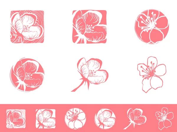 Cherry Blossom Logo Design Set — Stock Vector