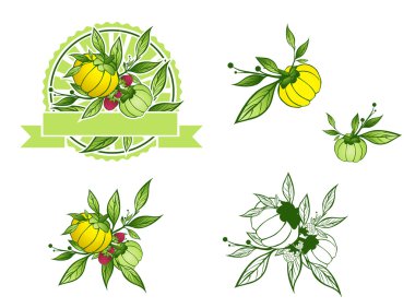 Garcinia Cambogia Set clipart