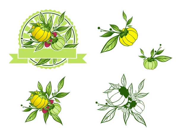 Garcinia Cambogia Set