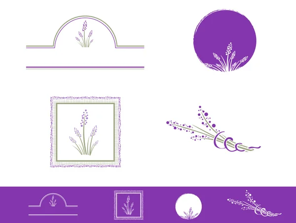 Lavendel-Designset — Stockvektor