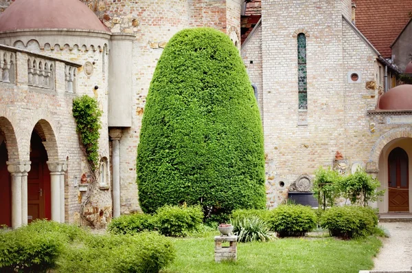 Paisajismo con árboles decorativos — Foto de Stock