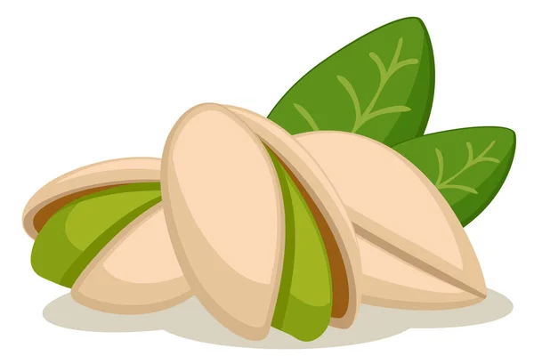 Las nueces de pistacho con hojas verdes sobre un blanco — Vector de stock