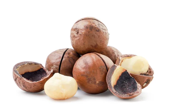 Montón de nueces de macadamia sin pelar y peladas sobre un fondo blanco. Aislado —  Fotos de Stock