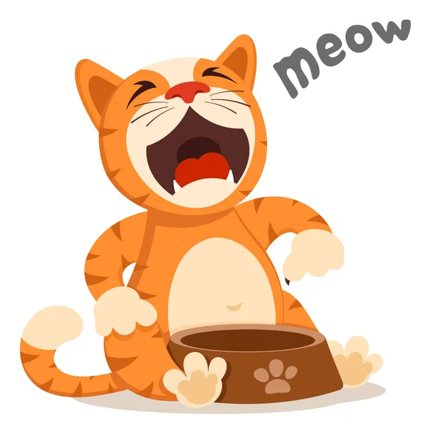 Cat Sits Meows Plate Cat Asks Food Character — Stock Vector