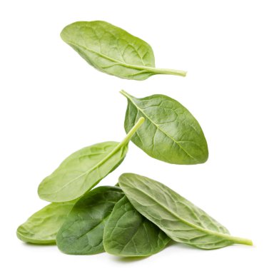 Ispanak yaprakları beyaz arka planda bir yığın üzerine düşer. İzole edilmiş