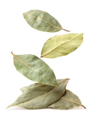 Laurel yaprakları beyaz arka planda bir yığın üzerine düşer. İzole edilmiş