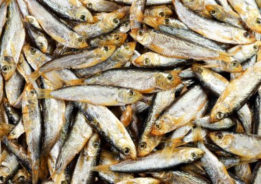 Küçük soğuk füme balık arka planda yakın çekim. Yukarıdan görünüm