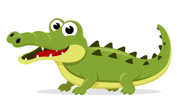 Krokodil Steht Und Lächelt Auf Weißem Hintergrund Der Charakter — Stockvektor