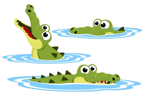 Set Crocodile Water White Background Character — Stock Vector