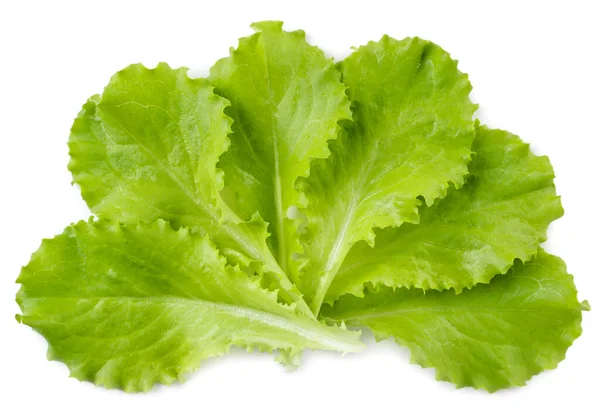 Fresh Lettuce Leaves Close White Background Top View — Stock Photo, Image