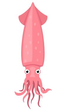 Beyaz arkaplanda mürekkep balığı resmi. Deniz yaratığı