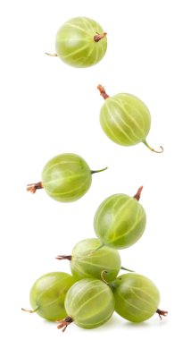 Yeşil Bektaşi üzümü, beyaz arka planda bir yığın yakın plan üzerine düşer. Bektaşi üzümünü havaya kaldırır. İzole edilmiş