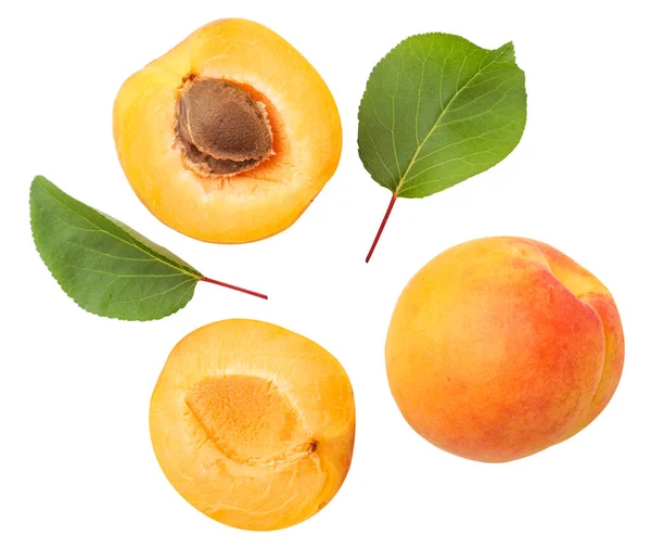 Apricots Whole Half Green Leaves Close White Background Set Cut — Stock Photo, Image