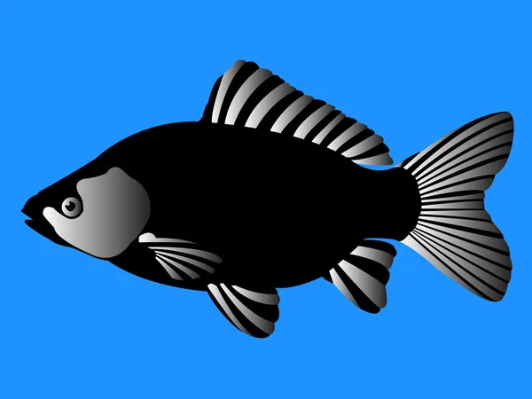 Peixe preto — Vetor de Stock