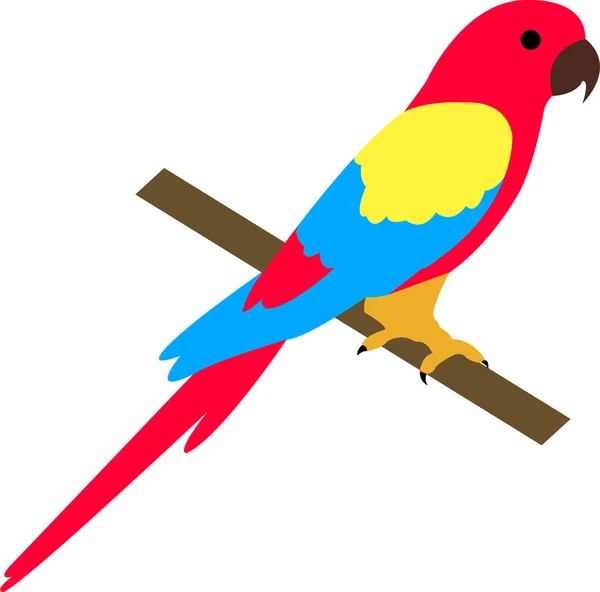 Parrot cartoon Royalty Free Stock Illustrations