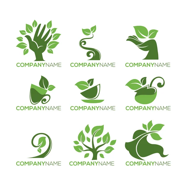 Colección Eco y Bio Conceptos, Alimentación Ecológica y Belleza Logo — Archivo Imágenes Vectoriales