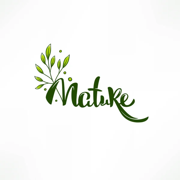 Schoonheid Van Natuur Doodle Organisch Verlof Embleem Frame Logo — Stockvector