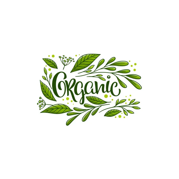 Beauty Nature Doodle Organic Leave Emblem Frame Logo — Stock Vector