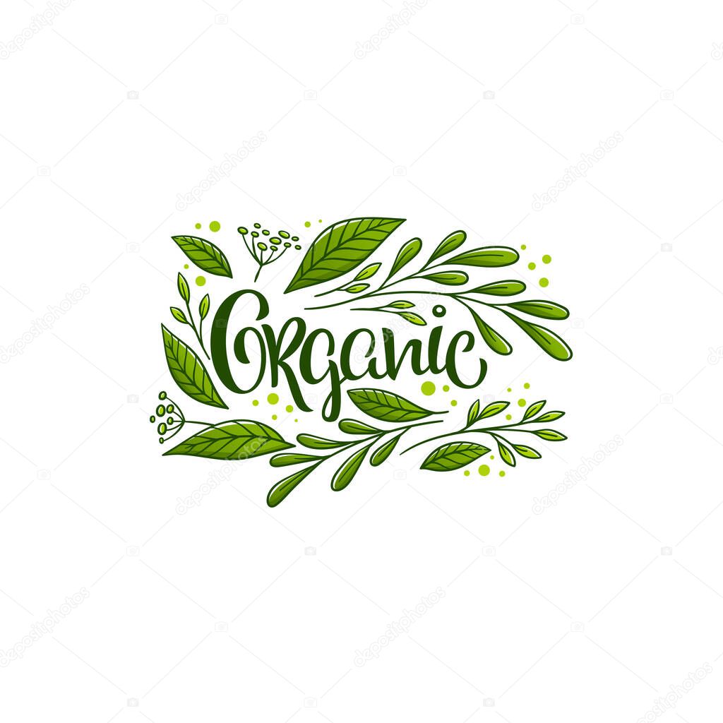 Beauty of nature doodle organic leave emblem,  frame and logo