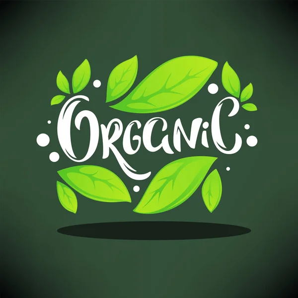 Produto Orgânico Folhas Verdes Orgânicas Emblema Luxo Adesivo Banner Logotipo —  Vetores de Stock