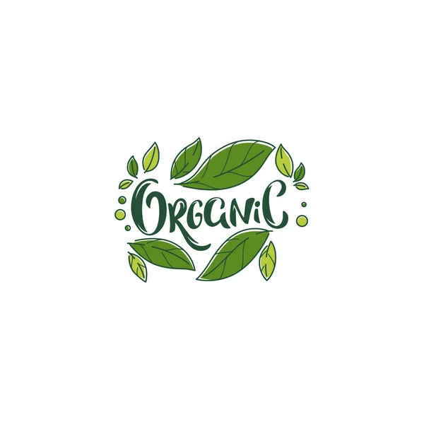 Schoonheid Van Natuur Doodle Organisch Verlof Embleem Frame Logo — Stockvector