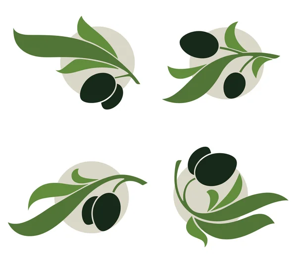 Groene olijven — Stockvector