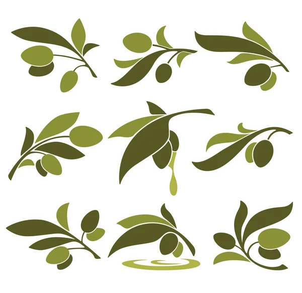 Groene olijven — Stockvector