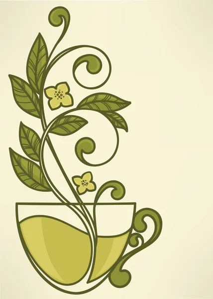 Fondo de té de hierbas — Vector de stock