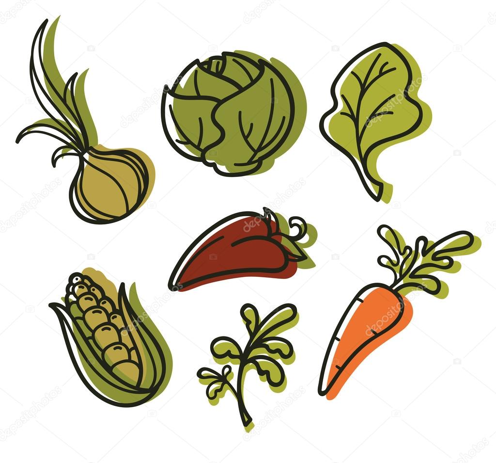 Vector collection of vegetables images in hand drawn style