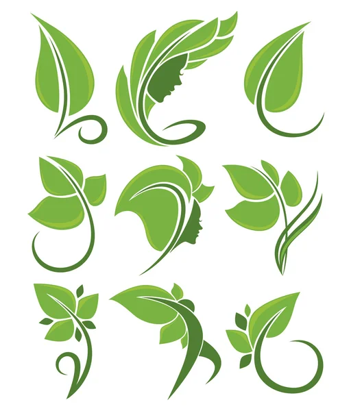 Vector collection of green leaves, nature and beauty — Stock Vector