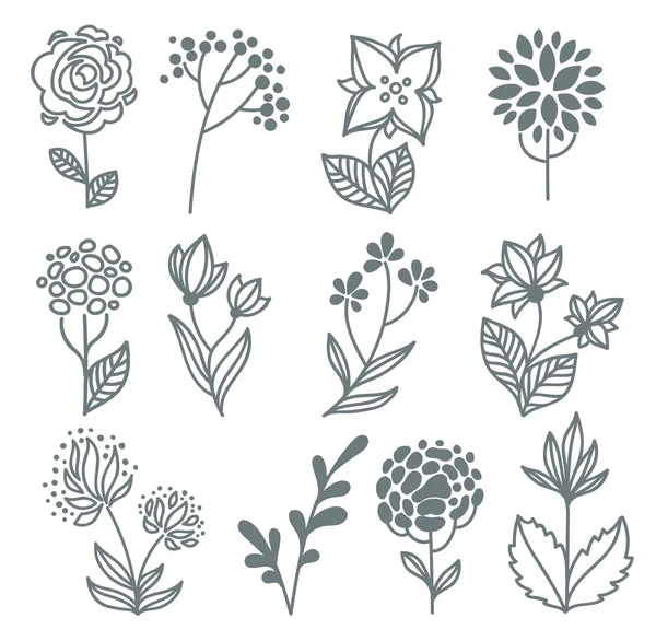 Vector hand drawn flowers collection — Stock Vector