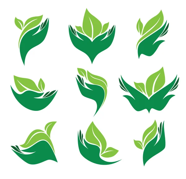 Manos humanas y plantas de crecimiento verde — Vector de stock