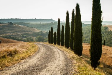 Toskana yol ile servi, İtalya