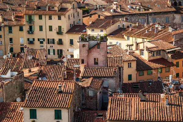 Hnědé střechy, Lucca, Itálie. — Stock fotografie