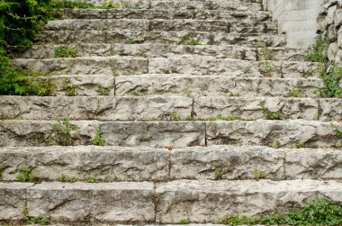 Taş merdiven adımlar.