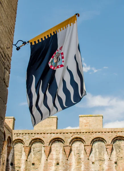 Die Contrade-Fahne des Wolfes. siena, palio — Stockfoto