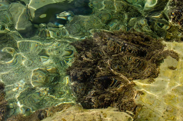 Background Sea Smaragd Water Nemira Horvátország — Stock Fotó