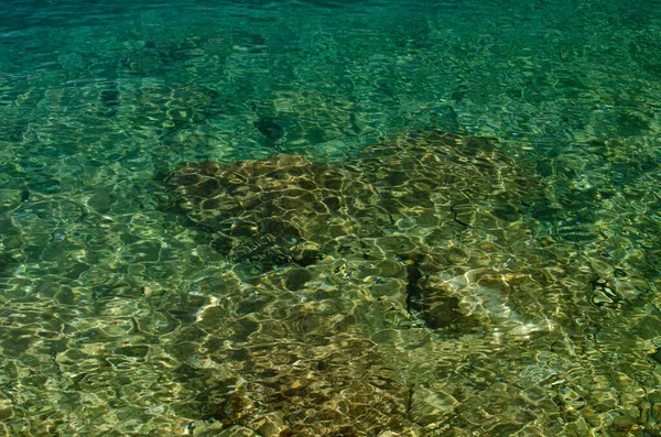 Den Klippiga Bakgrunden Till Havet Genom Smaragdvatten Nemira Kroatien Stockbild