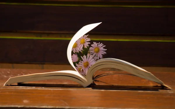 Kniha na lavičce s větrem ve stránce — Stock fotografie