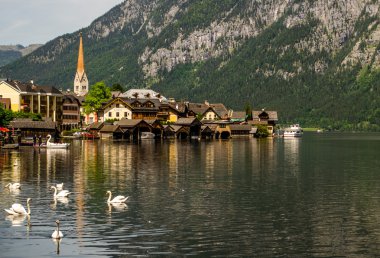 Hallstatt.Lake, kuğu ve Kilisesi.
