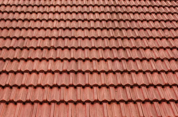 Tile roof — Stock Photo, Image