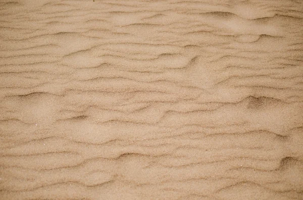 Textúra homok — Stock Fotó
