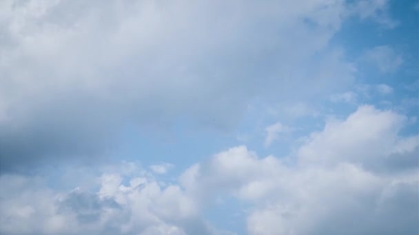 嵐の雲、自然の景色、タイムラプスを持つ劇的な空 — ストック動画