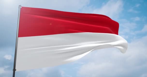 Ondeando banderas del mundo - bandera de Indonesia. Disparo con una profundidad de campo poco profunda, enfoque selectivo. Ilustración 3D. — Vídeo de stock